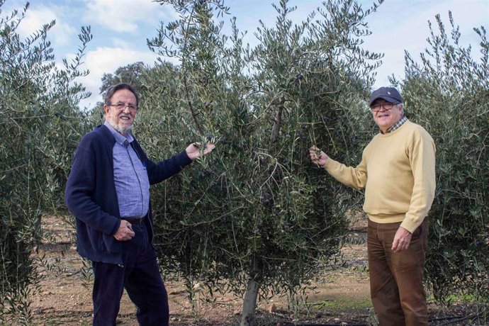 Los profesores Luis Rallo y Diego Barranco, impulsores de Pomología S.L.