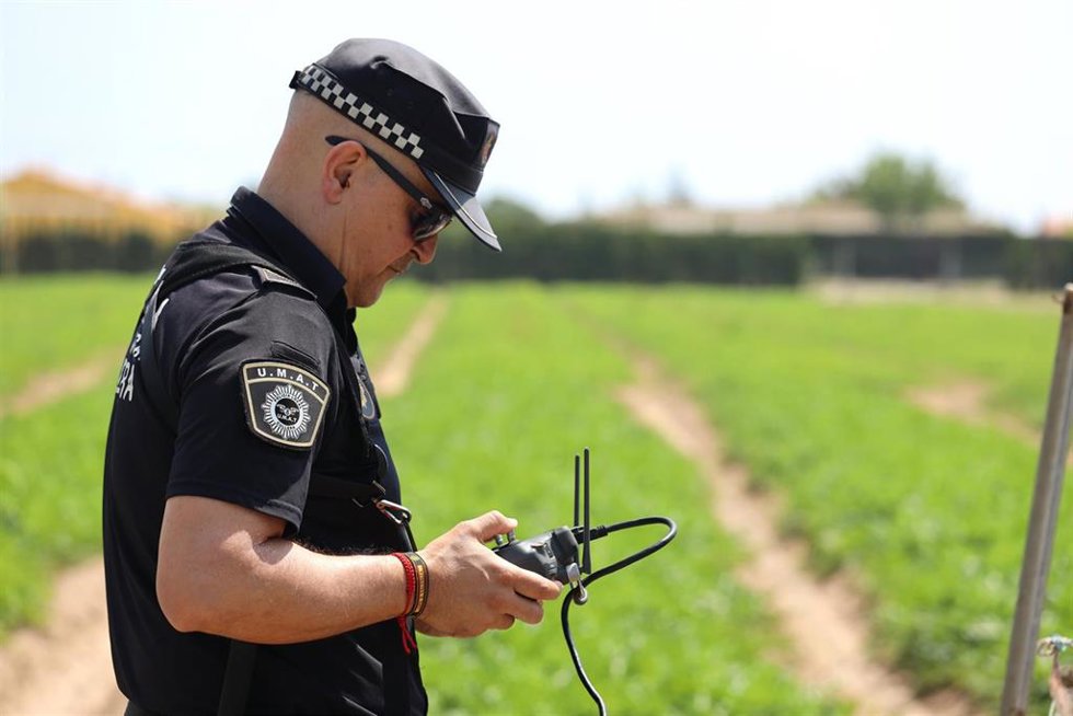 Cullera activa la campaña 'Que no ens toquen els melons' para evitar robos de sandías en los campos