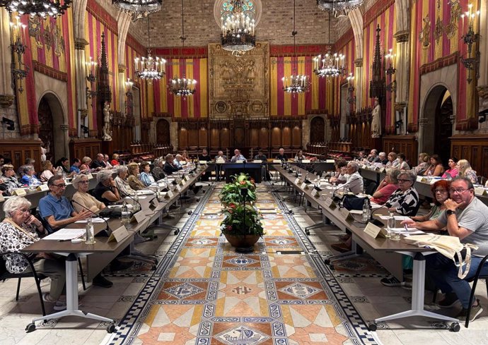 Ple d'aquest divendres del Consell Assessor de la Gent Gran (CAGG)