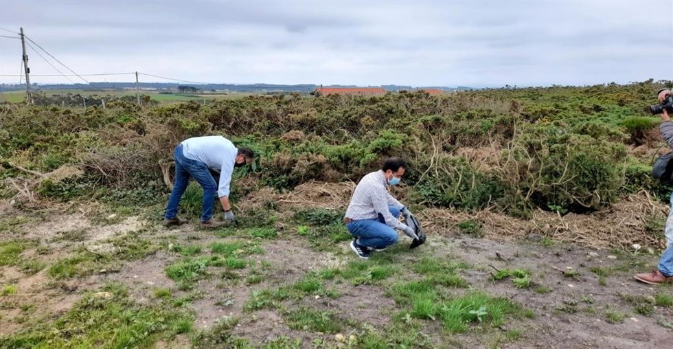 Archivo - Personas limpiando un aplaya en Asturias