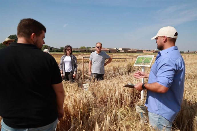 Momento de la 'Jornada de Mejora de la resiliencia de la cebada' en Bell-lloc d'Urgell (Lleida)
