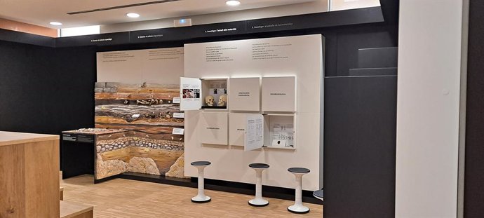 El Museu de Prehistòria de València abre un nuevo espacio dedicado a la arqueología