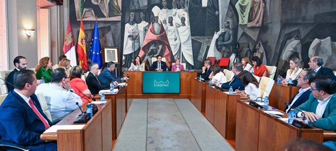 Pleno en la Diputación de Ciudad Real.