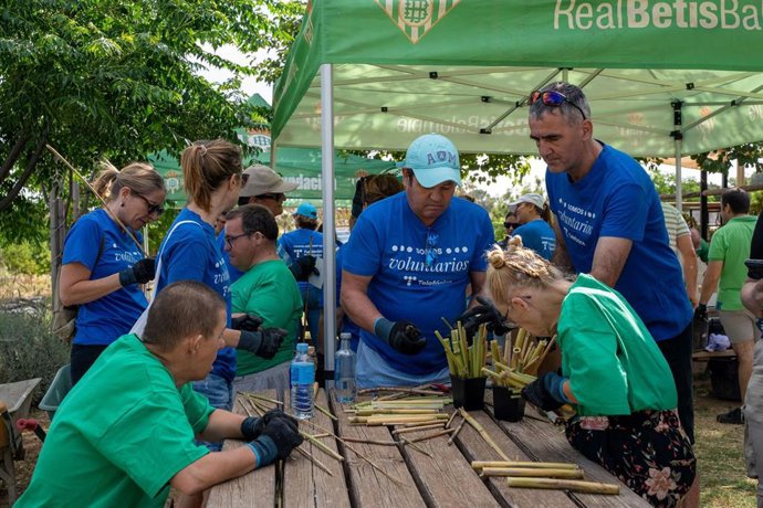 Más de 300 voluntarios de Fundación Telefónica de Andalucía impulsan con iniciativas la inclusión social y digital.