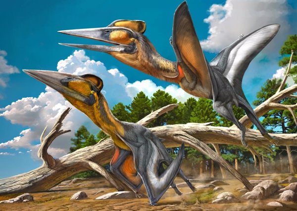 Ciencia.-Nueva especie de pterosaurio es la primera descrita en Japón