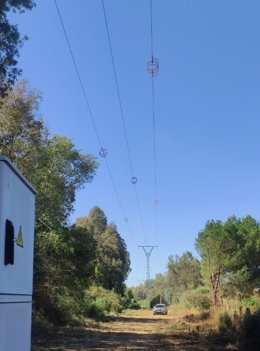 Endesa ha concluido los trabajos de adecuación de las masas arboladas próximas a las líneas eléctricas que discurren por la provincia de Córdoba, a lo largo de 9.000 kilómetros.