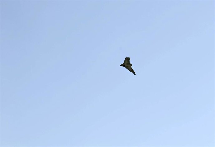 Archivo - Dron ucraniano sobre Donetsk (archivo).