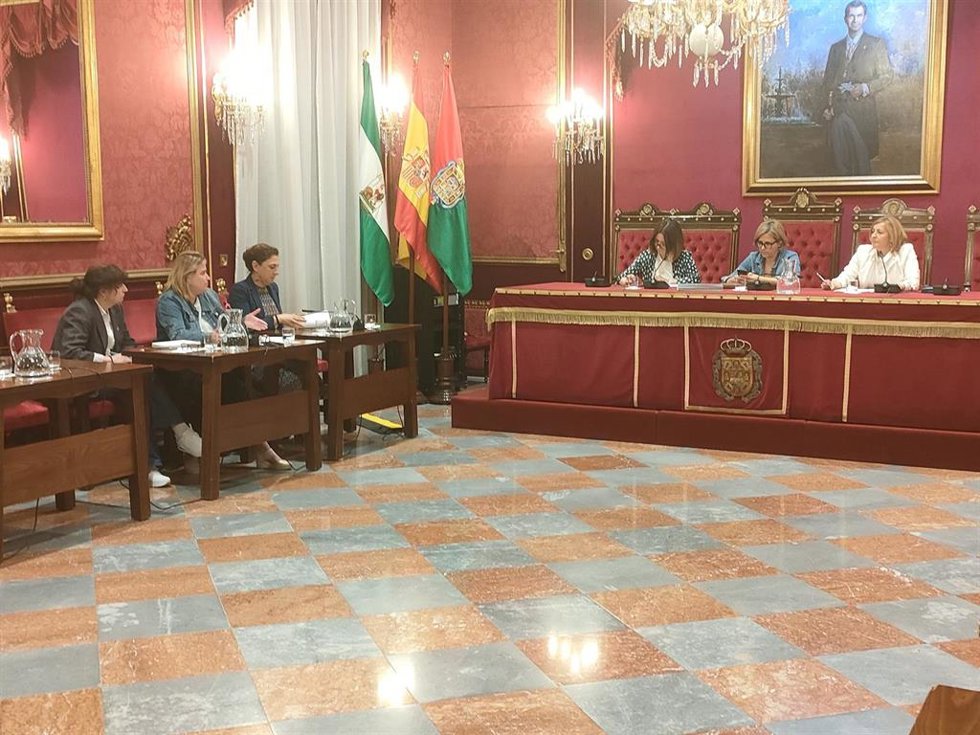 Archivo - La concejal de Política Social, Familia, Discapacidad y Mayores de Granada, Amparo Arrabal, primera por la derecha en la imagen, en la comisión del ramo (Foto de archivo).