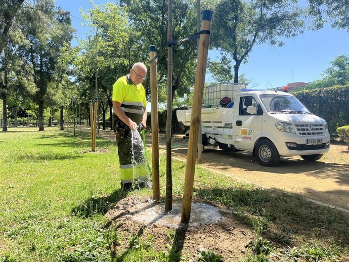 Un trabajador de Parques y Jardines riega un ejemplar.
