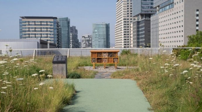 Terrat Viu del Museu de Ciències Naturals.