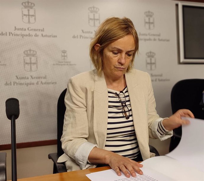 La diputada del Grupo Mixto, Covadonga Tomé, en rueda de prensa.