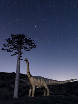 Árbol Fósil de Igea