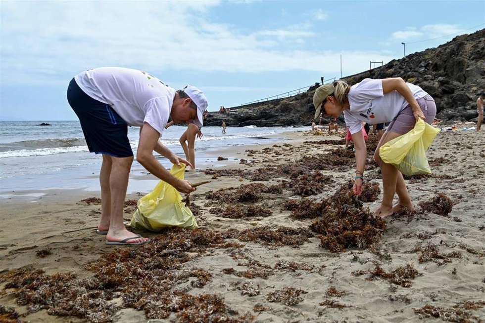Más de un millar de voluntarios se implican en la recuperación del litoral de Tenerife por el Día Mundial de los Océanos