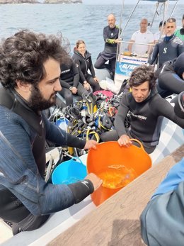 Reintroducción de tiburones en el Mar Cantábrico.