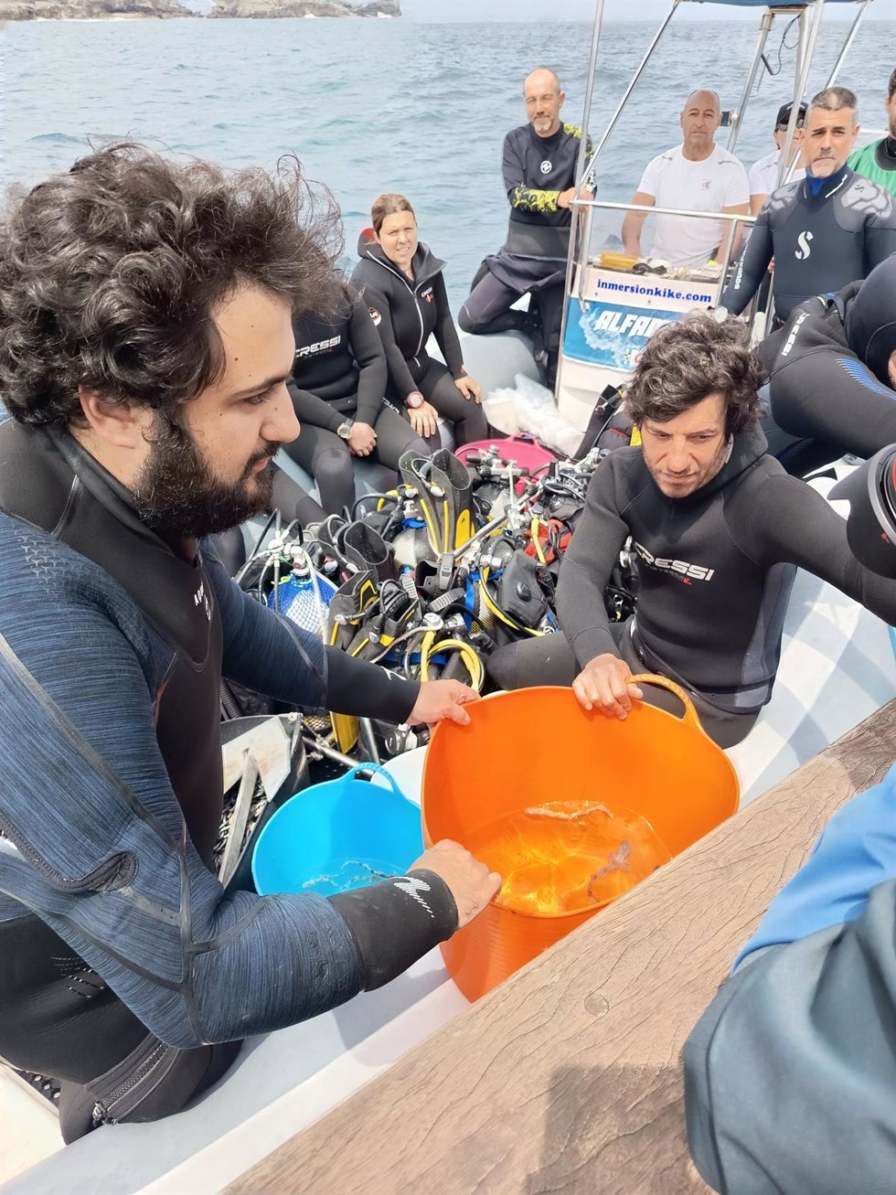 Reintroducción de tiburones en el Mar Cantábrico.