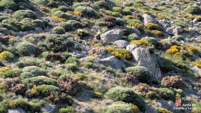 Rescatan a un varón de 59 años indispuesto en una ruta en Piedralaves (Ávila)