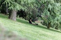 El calor, con cerca de 40ºC, y las tormentas por toda la Península pondrán este lunes en alerta a ocho comunidades
