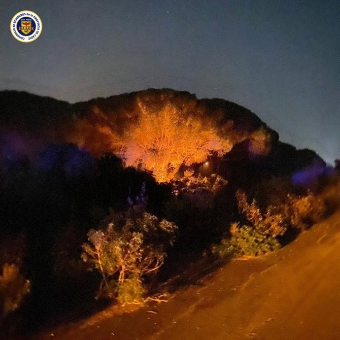 Incendio el paraje Dehesa de Yeguas, en el término municipal de Puerto Real (Cádiz).