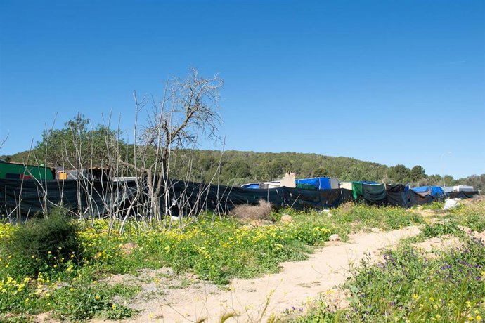 Archivo - Asentamiento de Can Rova II, a 1 de abril de 2025, en Ibiza