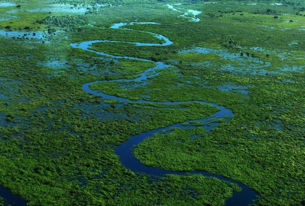 Mapfre compensa cerca del 80% de su huella global con proyectos para preservar la biodiversidad