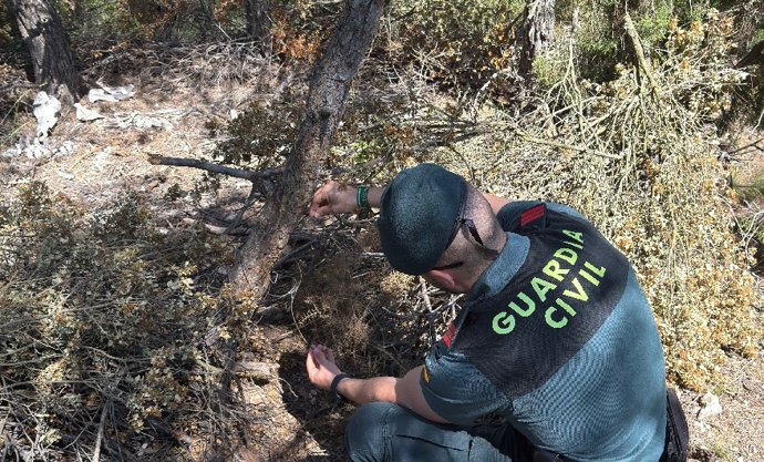 Imagen de un agente con la trampa