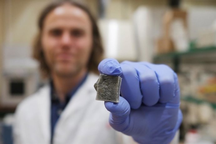 Crean un material basado en algas marinas capaz de generar electricidad y prevenir incendios