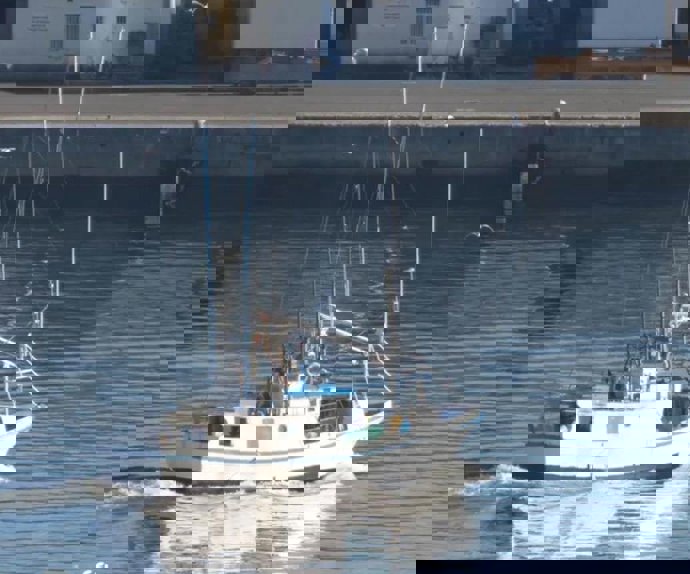Imagem do navio pesqueiro afundado.
