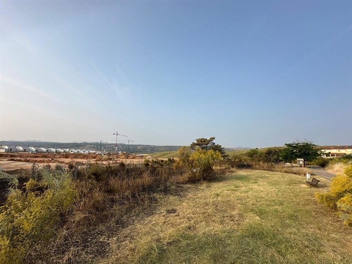 Desbroces en el barrio de La Legua