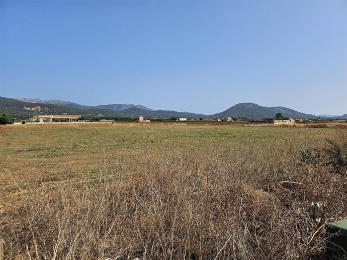 Terreno donde se ubicará el nuevo centro de sa Pobla