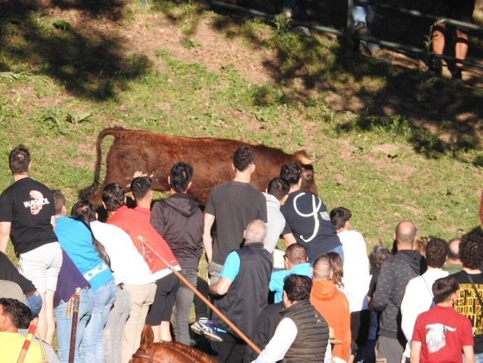Lavalenguas en Soria.