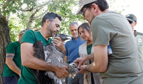 Es Andalucía - Granada