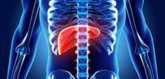 Foto: Hepatocarcinoma irresecable: logran mejorar un 14% la supervivencia a tres años con una doble inmunoterapia