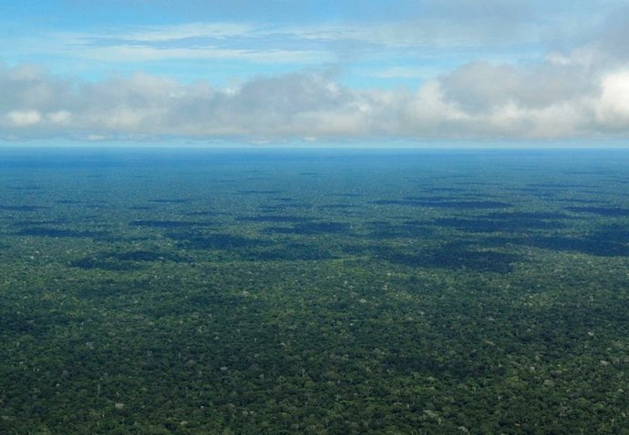 Amazonia