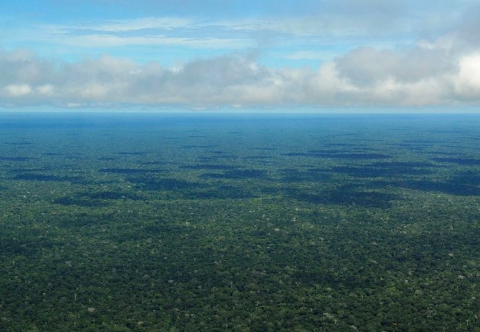 Amazonia