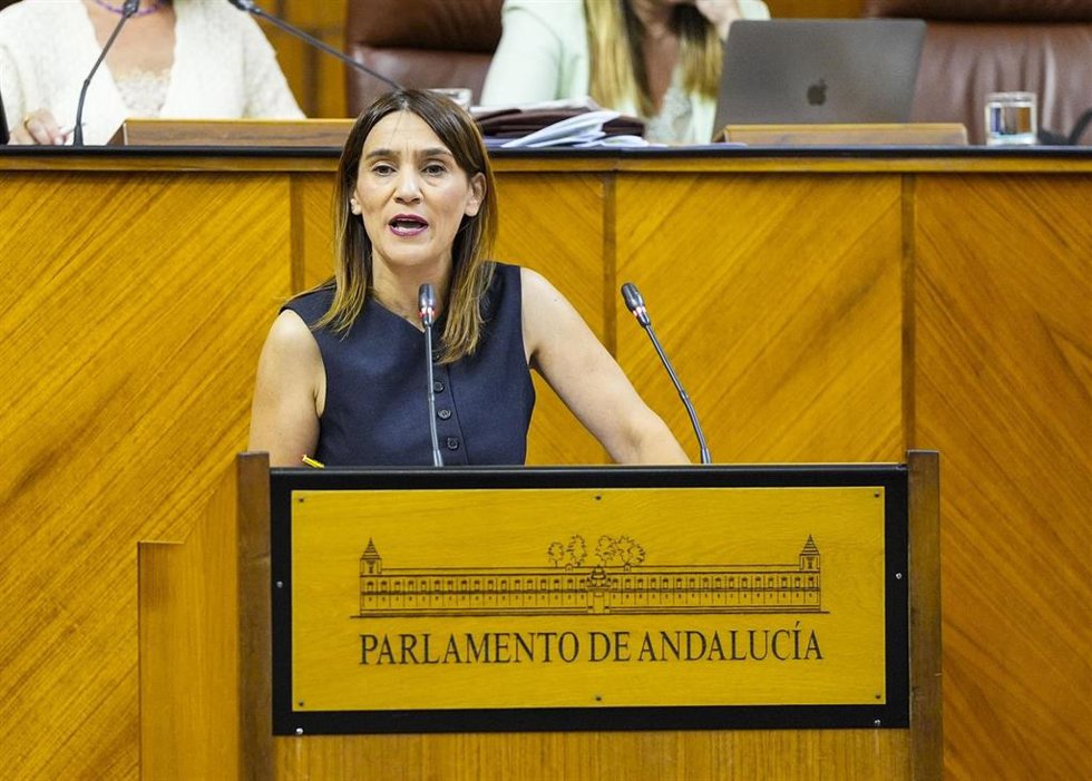 Archivo - La diputada socialista Olga Manzano, en una foto de archivo en el Pleno del Parlamento.