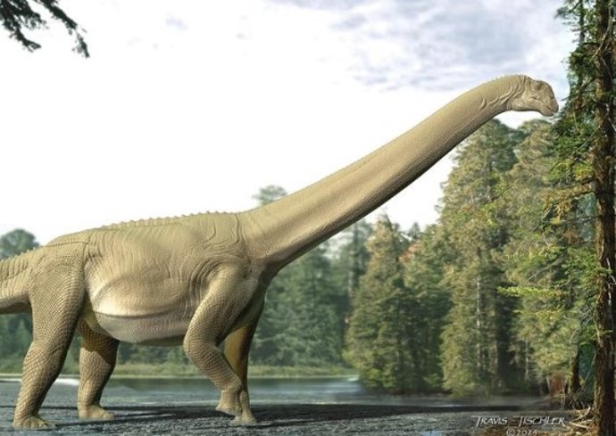Impressão artística da alimentação do Diamantinasaurus matildae.