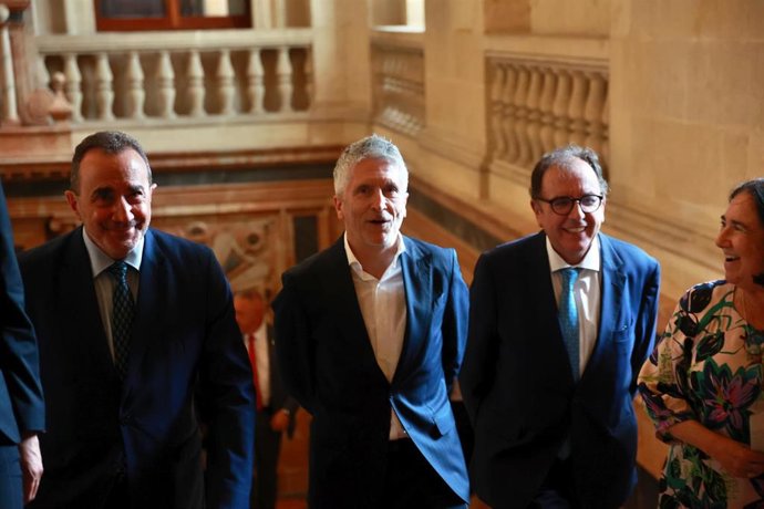 El ministro del Interior, Fernando Grande-Marlaska, este lunes en Sevilla