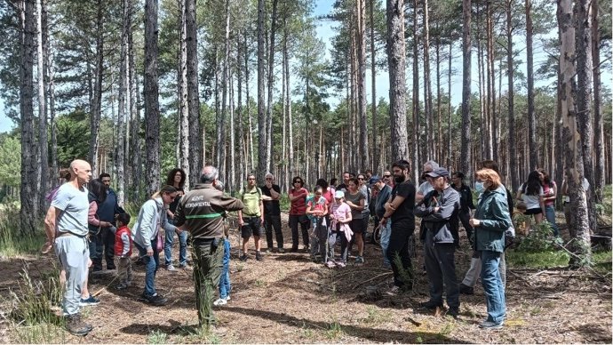 Imagen de los talleres realizados en ediciones anteriores para celebrar el Mes de los Montes.