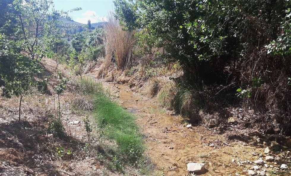 Arroyo Peñolite