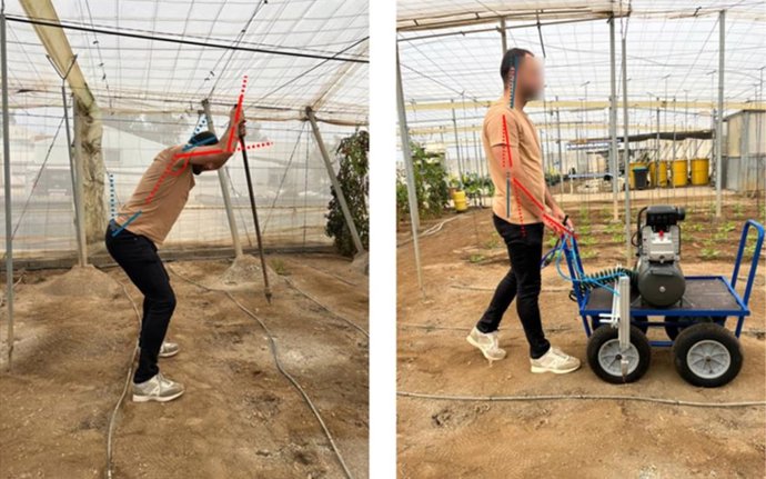 Comparativa entre la técnica manual y el nuevo sistema neumático para la siembra en invernaderos.