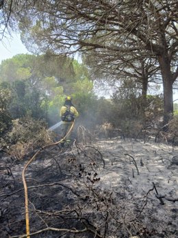 Un bombero del Infoca sofocando el incendio en la Dehesa de Yeguas en Puerto Real (Cádiz)