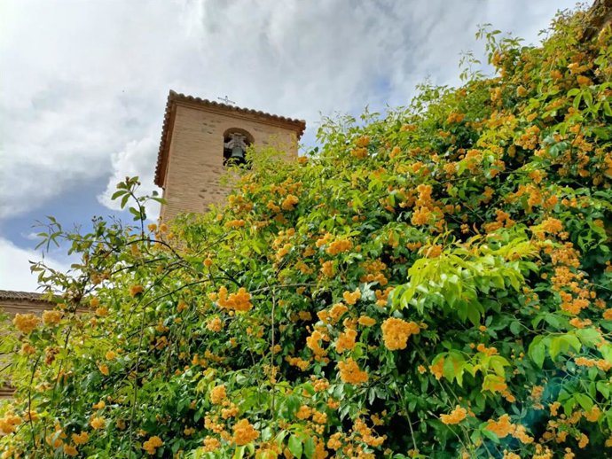 Archivo - Jardín de San Lucas.