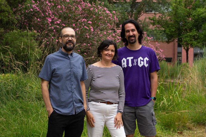 Investigadores del proyecto.