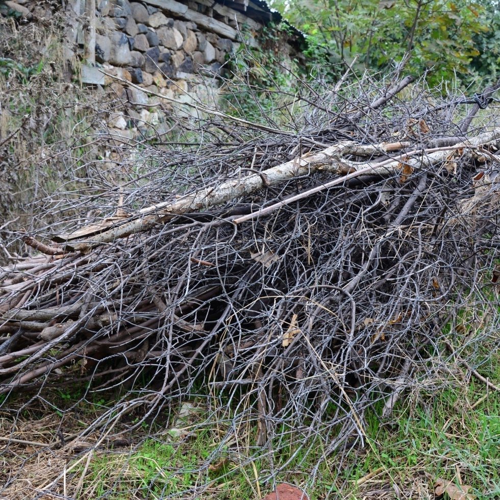 La alcaldesa de Torremolinos pide a propietarios de terrenos y parcelas su correcto mantenimiento