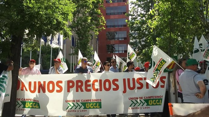 Cerealistas reclaman ante la sede de la Comisión Europea en Madrid