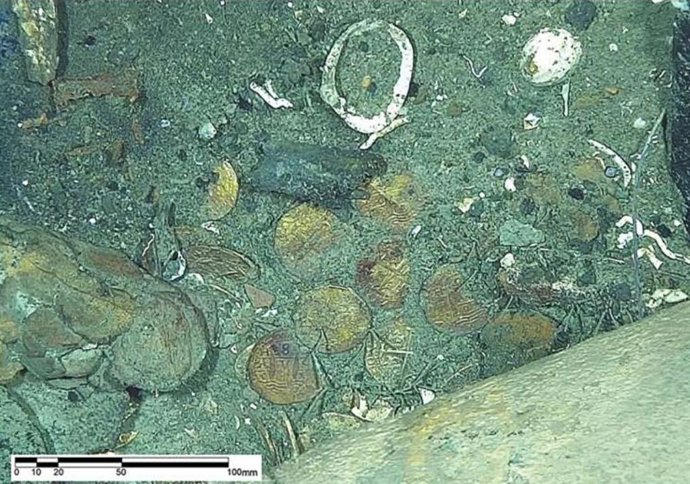 Zona de tesoros en la sección de babor de la popa, que muestra las caras anversas y reversas de las monedas, tal y como fueron observadas en el fondo marino.