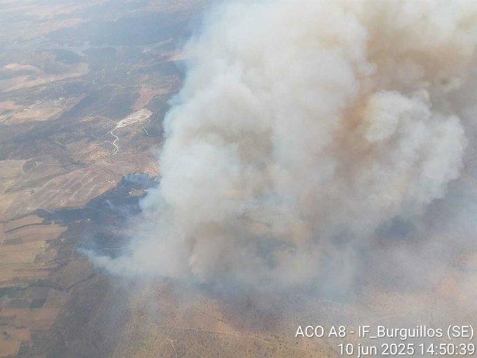 Imagen del incendio de Burguillos