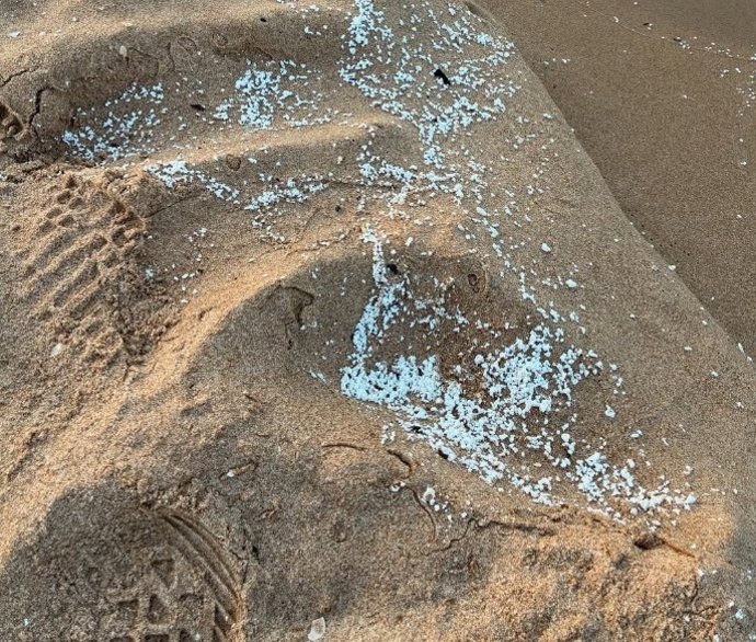 Imagen del vertido en la arena de la playa de Daimús