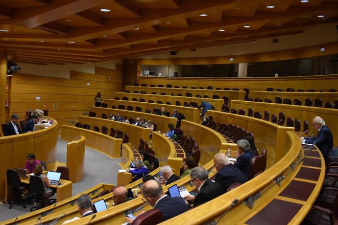 Sesión de la comisión de Cultura del Senado.