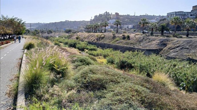 Archivo - Lagartario de Tamaraceite